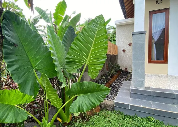 Bali Bakas House Ii Banjarangkan
