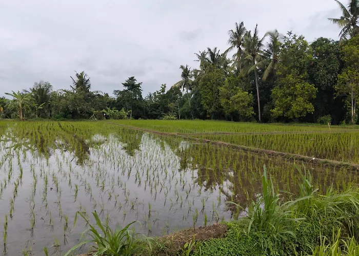 Appartamento Bali Bakas House Ii Banjarangkan