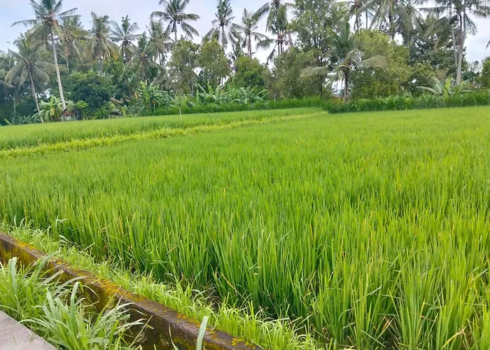 Bali Bakas House Ii * Banjarangkan